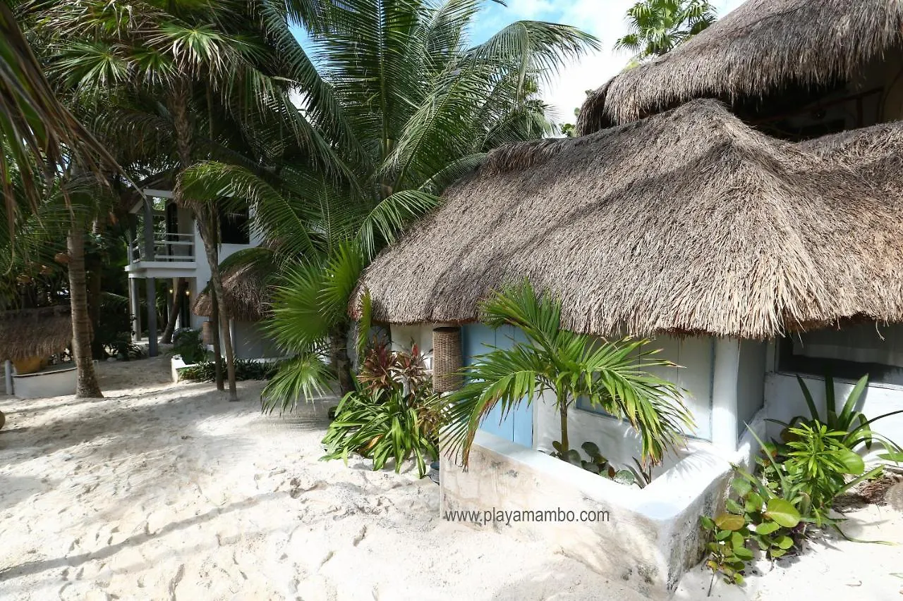 Playa Mambo Eco Cabanas Otel Tulum