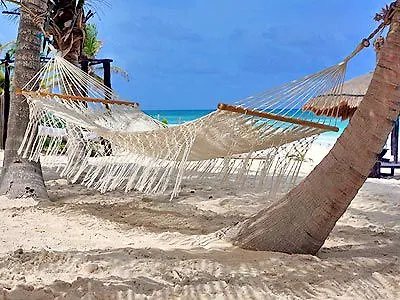 Playa Mambo Eco Cabanas Hotel Tulum México