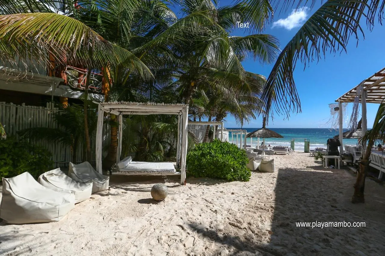 Playa Mambo Eco Cabanas Hotel Tulum